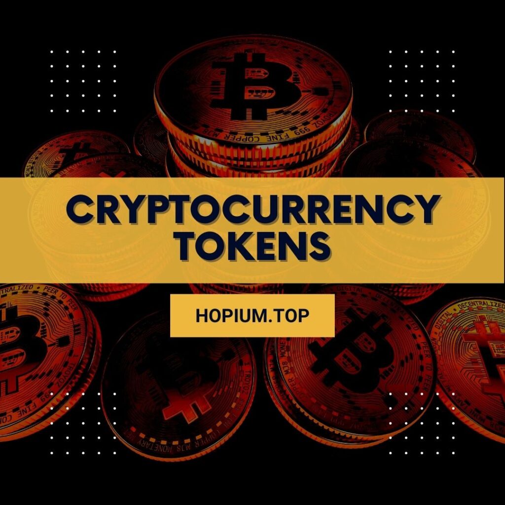 Beyond Bitcoin An overview of different types of cryptocurrency tokens